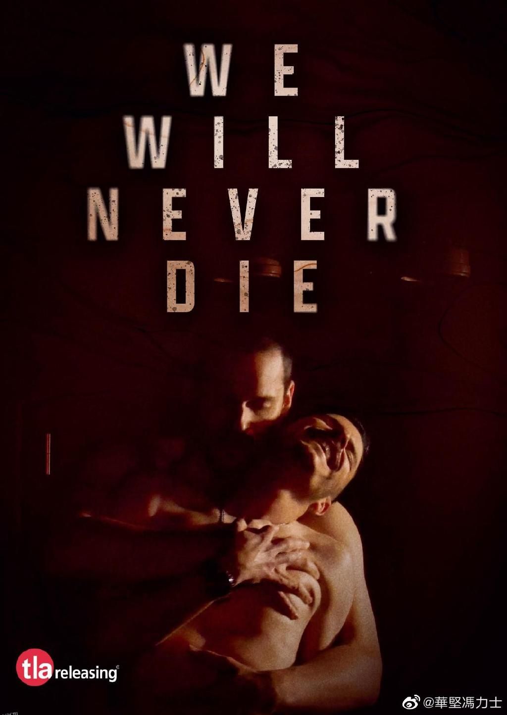 我们永不逝去 海报