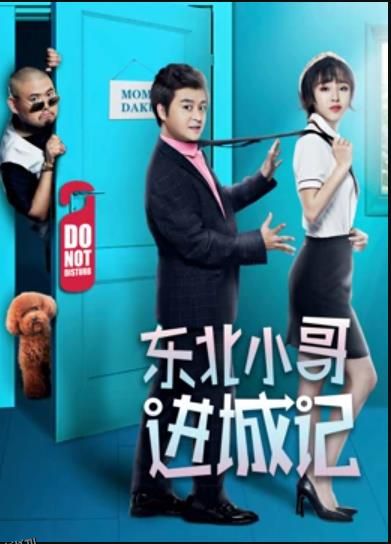 东北小哥进城记 海报