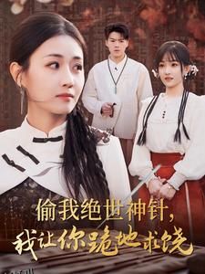 偷我绝世神针我让你跪地求饶 高清海报