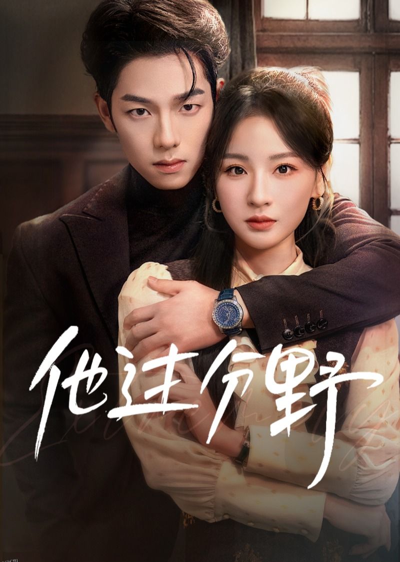 他过分野 高清海报