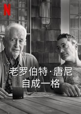 罗伯特·唐尼：自成一格 高清海报