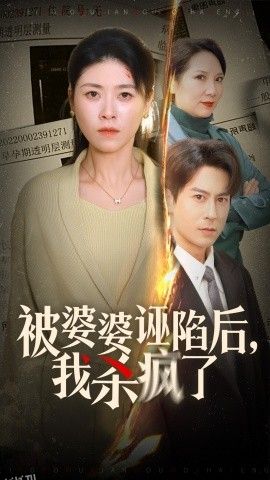 被婆婆诬陷后我杀疯了 高清海报