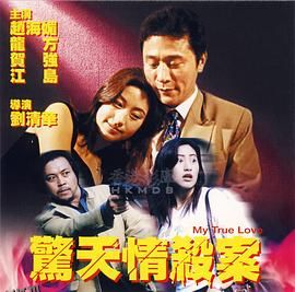 惊天情杀案 海报