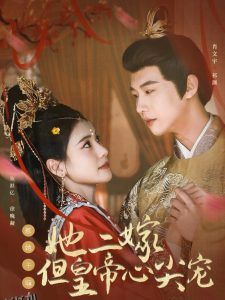 惹她干嘛，她二嫁但皇帝心尖宠 海报