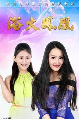 浴火凤凰2015 海报
