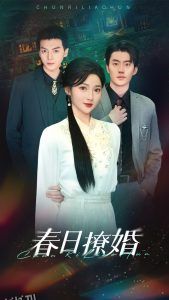 春日撩婚 海报