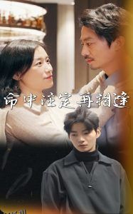 命中注定再相逢 海报