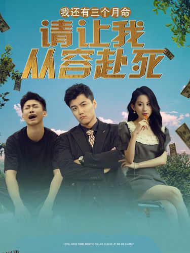 我还有三个月命，请让我从容赴死 海报