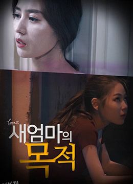 新妈妈的目的 海报