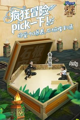 疯狂的麦咭第五季 海报