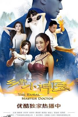 乡野小神医 海报