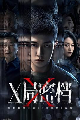 X局密档 高清海报