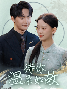 待你温柔如故 海报