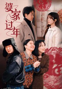 婆家过年 高清海报