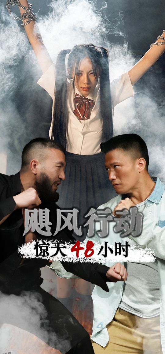 飓风营救惊天48小时 海报