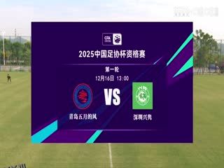 足协杯资格赛 青岛五月的风VS深圳兴隽 20241216 海报