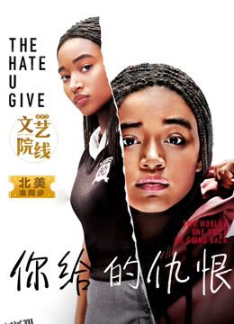 你给的仇恨 海报