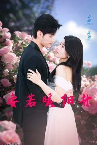 安若暖阳升 高清海报