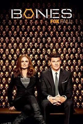 识骨寻踪第九季 海报