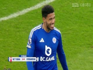 英超联赛 诺丁汉森林VS托特纳姆热刺 20241226 高清海报