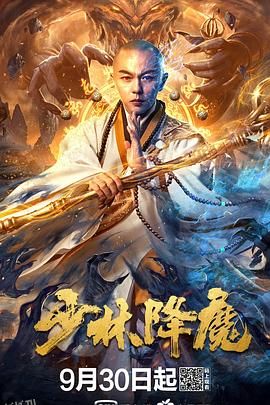 少林降魔 海报