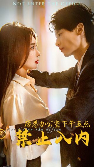 厉总办公室下午五点禁止入内 海报