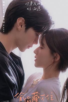 偷偷藏不住 高清海报