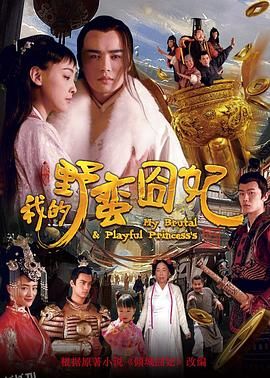我的野蛮囧妃 海报
