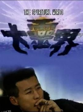 大灵界国语 海报