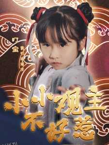 小小观主不好惹 海报