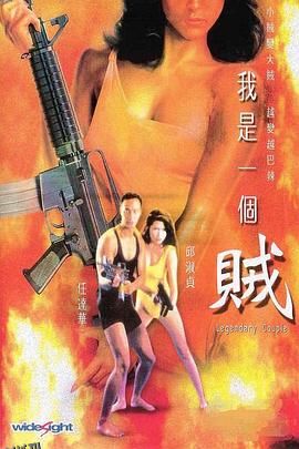 我是一个贼[电影解说] 高清海报