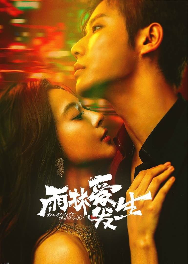 雨林爱发生 海报