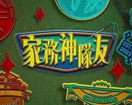 家务神队友 海报