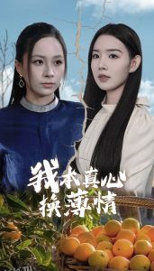 我本真心换薄情 高清海报