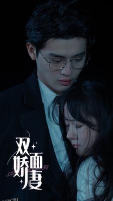 双面娇妻 海报