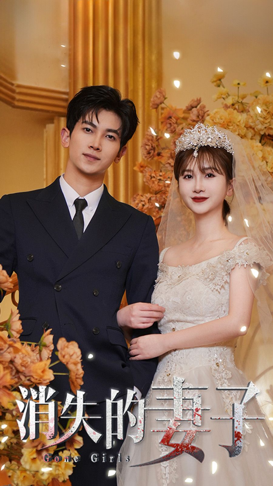 新：消失的妻子 海报