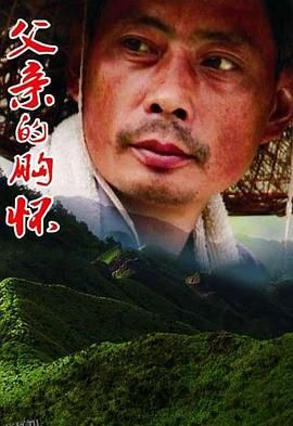 父亲的胸怀 海报