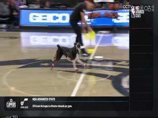 NBA常规赛 活塞VS魔术 20231209 海报