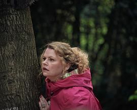 以下事件基于一堆谎言 海报