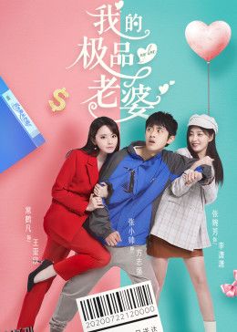 我的极品老婆第一季 海报