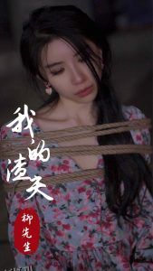 我的渣夫柳先生 海报