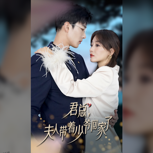 君总，夫人带着少爷回家了 海报