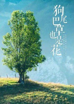 狗尾巴草也是花 海报