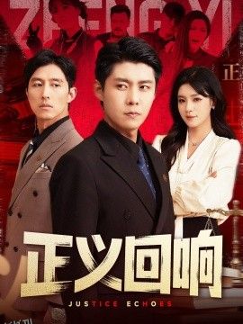 正义回响 海报