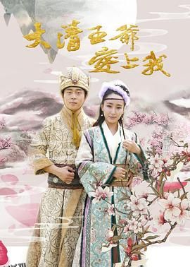 大清王爷爱上我 高清海报