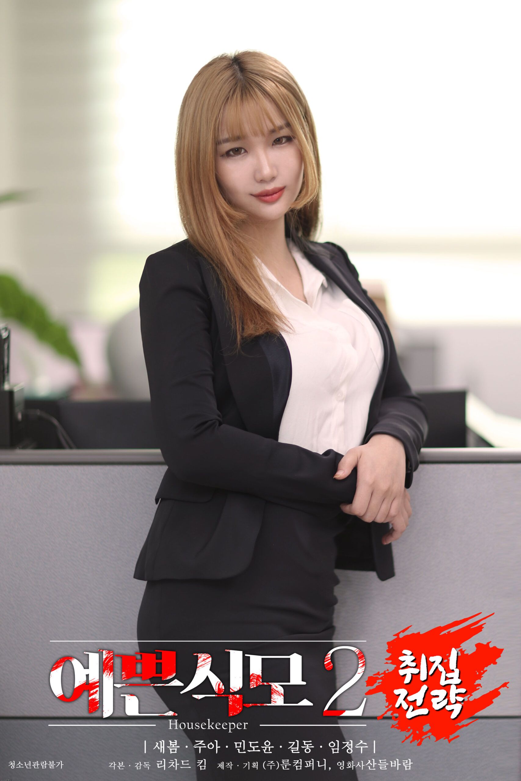 美女主管2：招聘攻略 海报