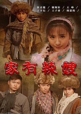 家有辣嫂 海报