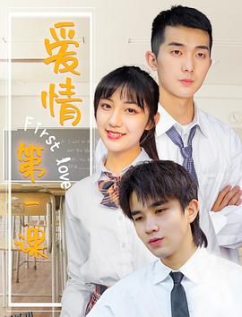 爱情第一课 海报