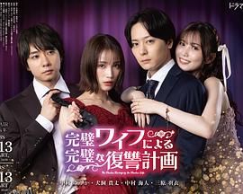 完美妻子的完美复仇计划 海报