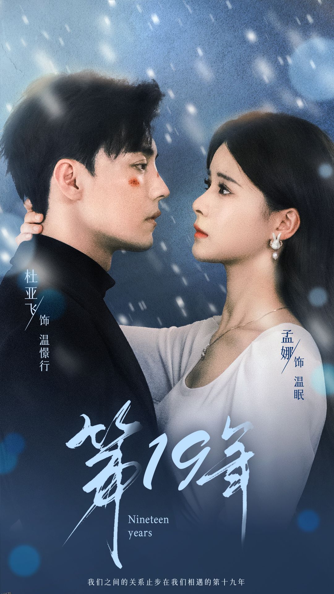 第19年 海报
